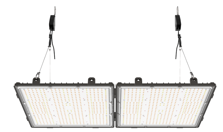 Main Types of LED Grow Lights