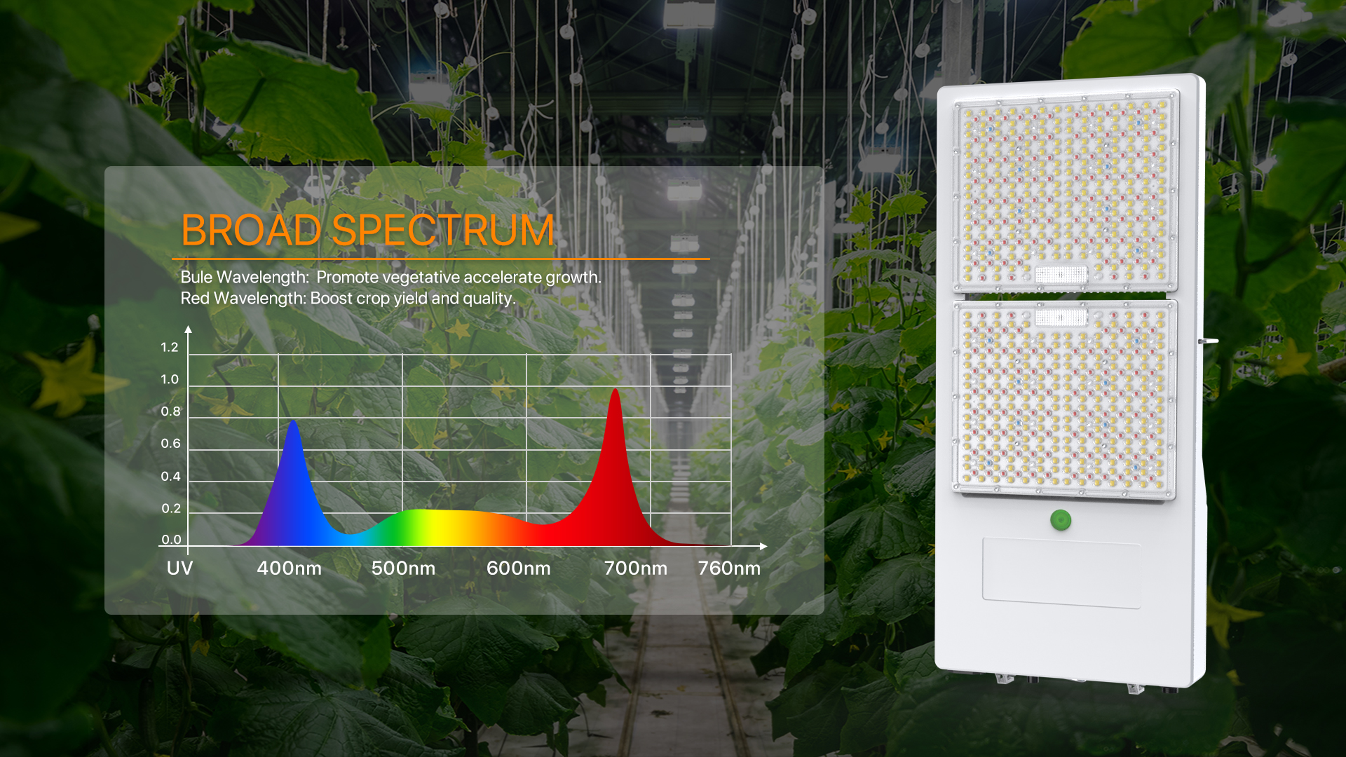 How to choose Hydroponic Lighting?