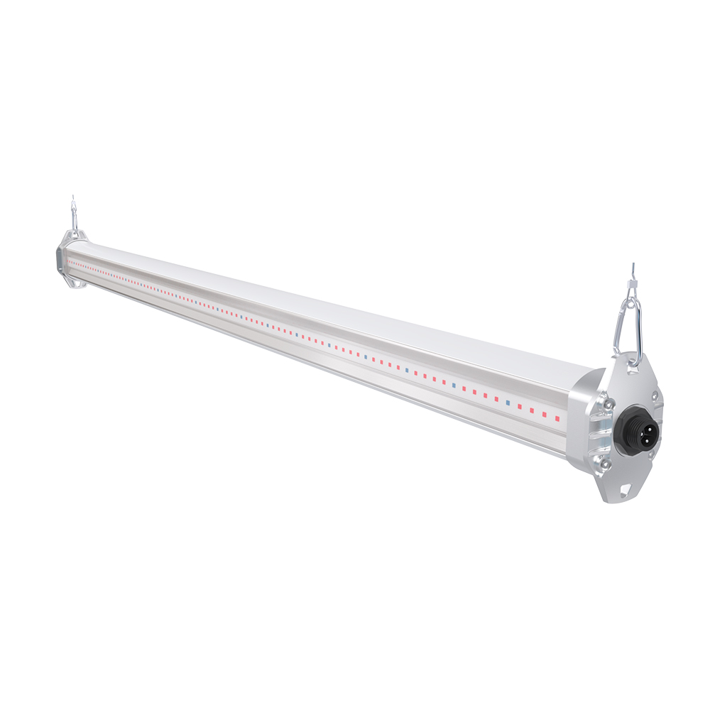 PHOENIX Series LED Top Lighting PHOENIX Series LED Top Lighting
